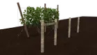 DPAK4